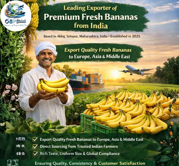 Premium Fresh Banana Exporter from India - OSP Global 